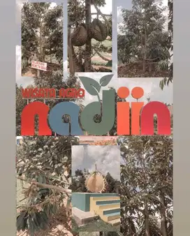 dijual argowisata + kebun duren luas. fasilitas komplit
