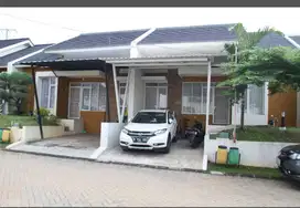 URGENT ART SERABUTAN MENGINAP