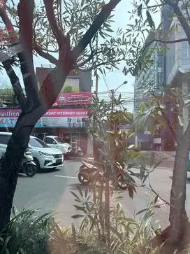 Dicari supir pribadi