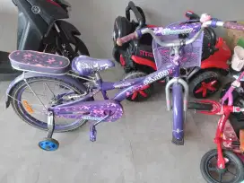 Sepeda anak ungu family