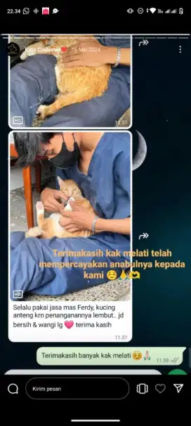 Jasa Groom pet kerumah
