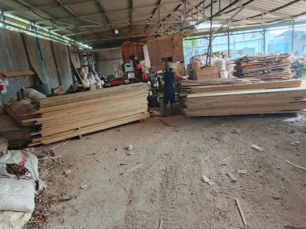 Kayu jati kualitas bagus