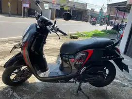 Honda Scoopy Sporty 2022 Samsat Soreang