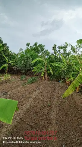 Di Jual Tanah untuk semua orang