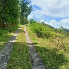 Tanah Tegalan 2 Hektar kebun durian Girimulyo Kulon Progo
