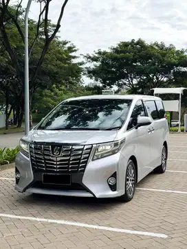 TOYOTA ALPHARD G ATPM SILVER ON BEIGE