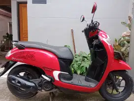 Honda scoopy 2017