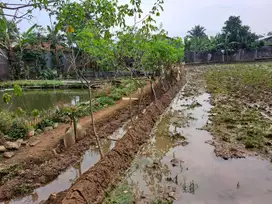 Dijual Cepat Tanah di Cipayung Puncak Bogor