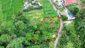 Dijual tanah komersil lokasi ubud