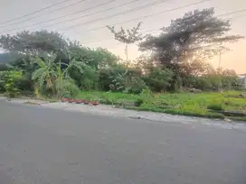 Tanah strategis cocok untuk usaha atau hunian di Gumpang