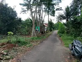 tanah kavling pinggir jalan aspal kampung cicil pribadi