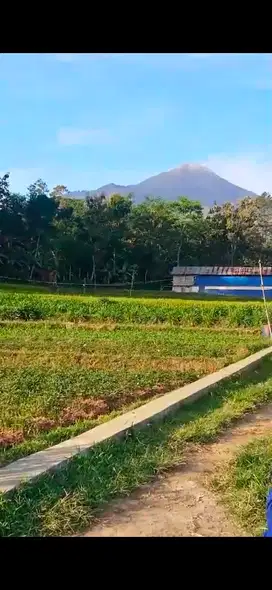 tanah trawas view gunung langsung murah