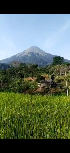tanah view gunung ada aliran sungai nya luas 2045m