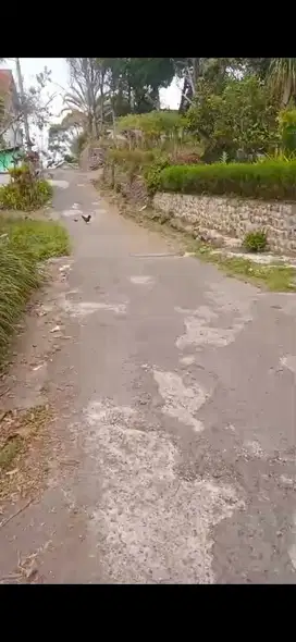 tanah siap bangun di trawas