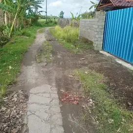 tanah cantik view sawah di sudimare tabanan