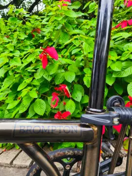 BROMPTON H 6 R BLACK LACQUER RED STICKER, HAND CARRY MANCHESTER