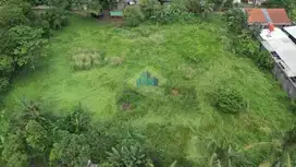 Jual Tanah di Kp. Dukuh, Ds. Babakan, Kec. Legok - Tangerang
