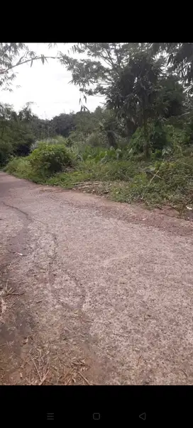 jual tanah di Sukasari rumpin
