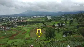 Tanah Akses Mobil di Cipanas Puncak dekat Kota Bunga dan Puncak 2