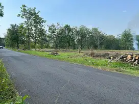Tanah Super Datar 3000m² Cocok Untuk Buka Usaha, Gudang