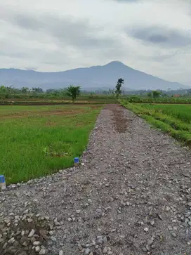 TANAH VIEW EKSOTIS TERLARIS PURWOKERTO DIKOMPLEK WISATA