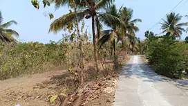 Tanah Tegalan 18000m2 Hargorejo  Kokap Kulon Progo