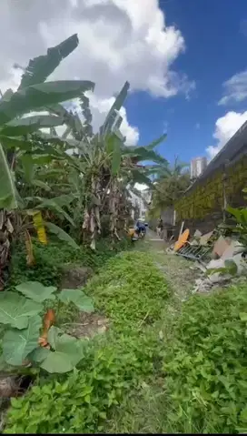 Rare Leasehold Central Ubud