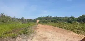 Dijual Murah Tanah Strategis Kutai Kartanegara Kalimantan Timur