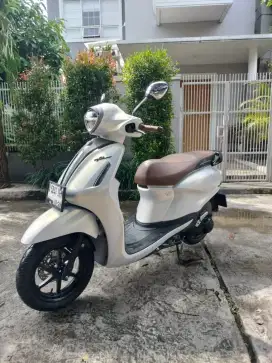 Grand Filano Lux 2023 cash & kredit