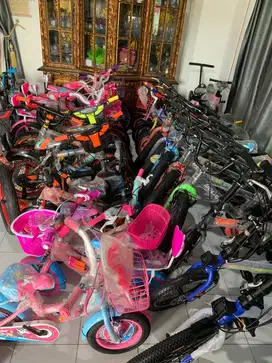 Sepeda baru murah meriah