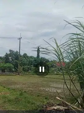 Dijual tanah untuk usaha, perumahan nol jalan Mojowarno, Jombang