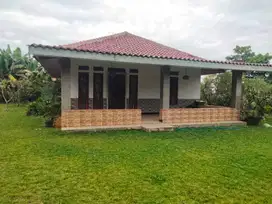 di jual rumah kebun di gunung geulis megamendung