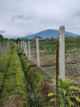 Jual Tanah Kebun Giripurno, Bumiaji