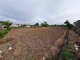 TANAH DARAT COCOK UNTUK CLUSTER ATAU KAVLING DI BABELAN - BEKASI