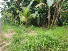 Investasi Tanah Dekat Pantai Medewi Bali