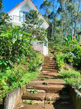 Dijual Tanah di Ciwidey Bandung Lokasi Strategis, untuk Villa & Resort