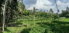 Dijual Tanah Luas Strategis Cocok Untuk Usaha Dan Investasi Di Kebumen