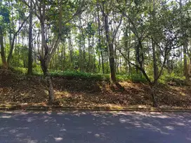 Dijual Tanah Luas Strategis Di Area Dago Resort