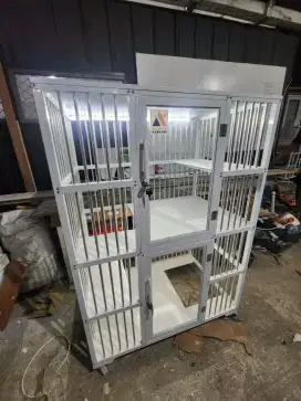 Kandang Kucing Kokoh