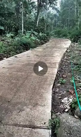 Dijual tanah kebun subur murah ada pohon durian Wonosalam, Jombang