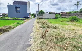 Tanah Jl. Jmbon Trihanggo Strategis Untuk Investasi