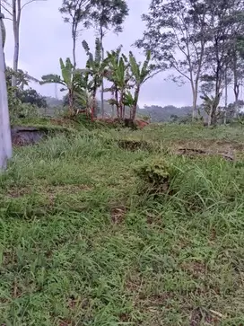 dijual lahan view gunung asri dan sejuk dekat Lido cigombong