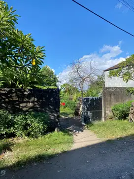 Dijual tanah lokasi dijalan salya denpasar