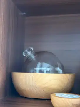 Young Living Diffuser Bekas