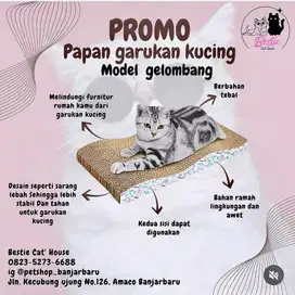 Promo garukan kucing