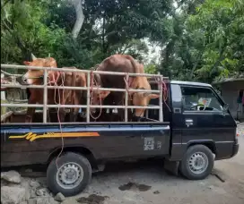 Rental/Carteran Pick Up L300