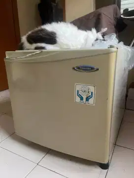 Kulkas Mini Toshiba GR - E9P, Kucing hanya pemanis