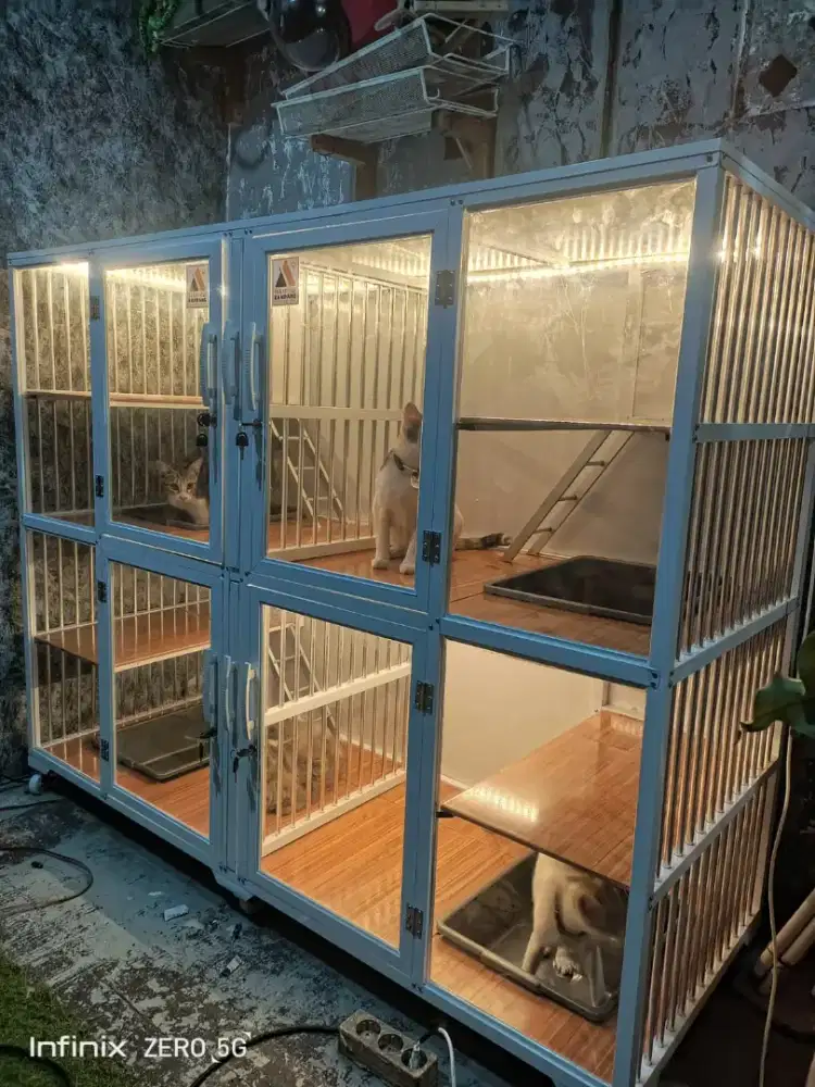 Kandang Kucing Kokoh