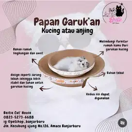 Garukan kucing bulat