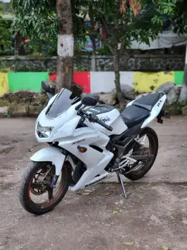 Ninja RR putih Albino
